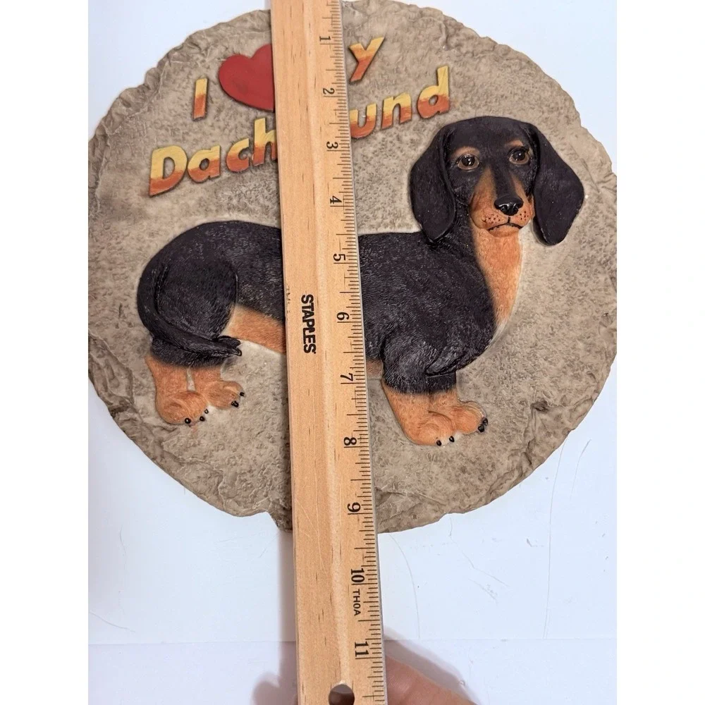 N/A dachshund dog